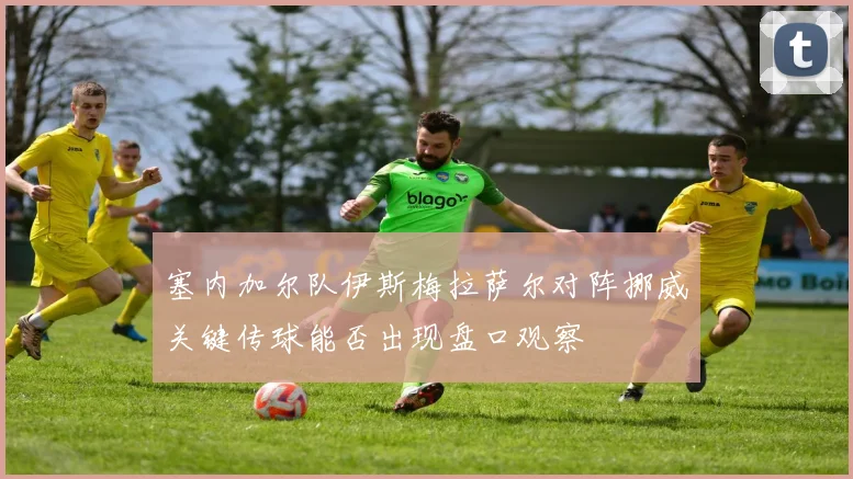 塞内加尔队伊斯梅拉萨尔对阵挪威关键传球能否出现盘口观察