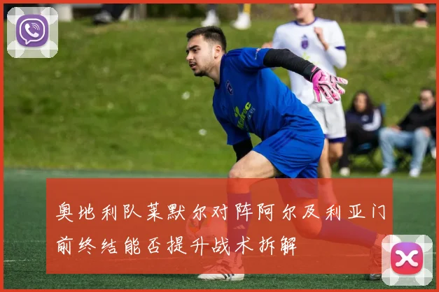 奥地利队莱默尔对阵阿尔及利亚门前终结能否提升战术拆解