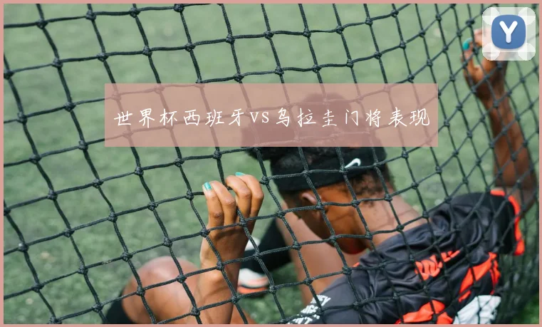 世界杯西班牙vs乌拉圭门将表现