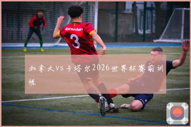 加拿大vs卡塔尔2026世界杯赛前训练