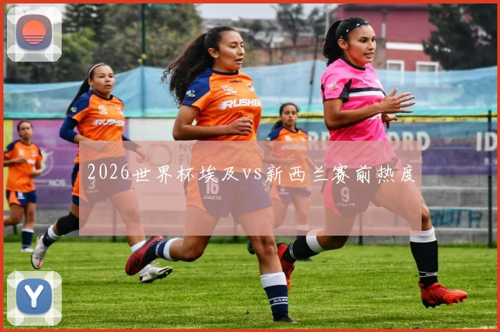 2026世界杯埃及vs新西兰赛前热度